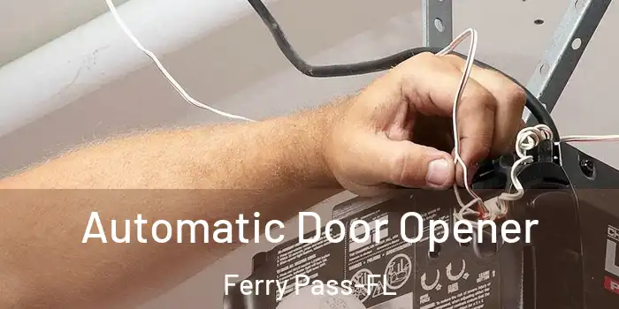 Automatic Door Opener Ferry Pass-FL