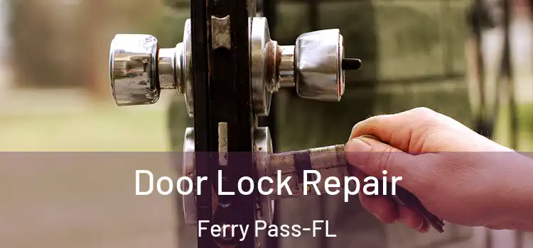  Door Lock Repair Ferry Pass-FL