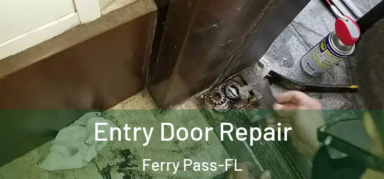  Entry Door Repair Ferry Pass-FL