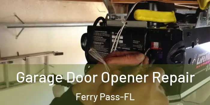  Garage Door Opener Repair Ferry Pass-FL