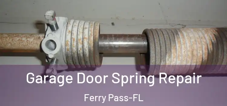  Garage Door Spring Repair Ferry Pass-FL