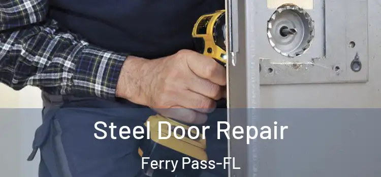 Steel Door Repair Ferry Pass-FL